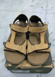 Woodland Men's Tan Sandal