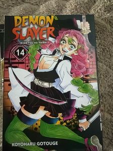 Demon Slayer: Kimetsu no Yaiba Vol. 13,14,15 Manga