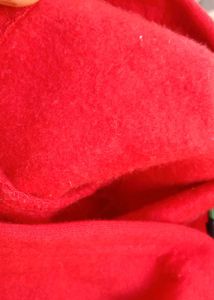 Kids Red Hoodie
