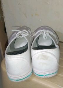 P.T Shoes