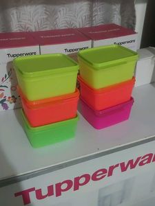 Tupperware New Fresh 500ml Keep Tab