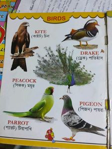 Kids Book