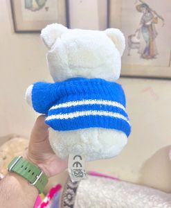 Cute Teddy 🧸
