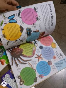 DK Find out science animal solar system earth book