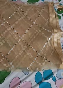 Embellished Net Dupatta