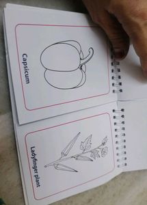 Vegetables colouring book