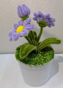 Cute Handcrafted Daisy Plant