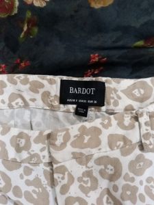 Casual Shorts