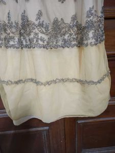 Festival wedding spl Beige Net Party Handwork Gown