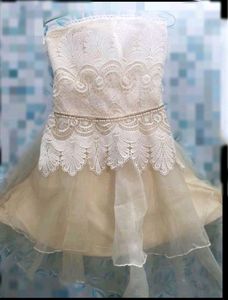 Ivory Pretty Lace And Tull Tube Top