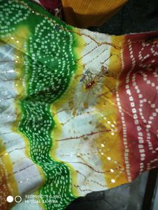 DIWALI DISCOUNT Beautiful Chiffon Embroidered Saree