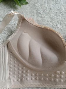 Padded Bra