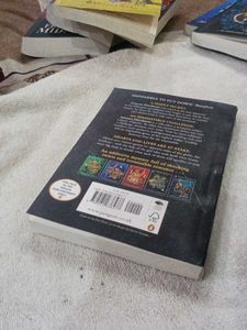 The Brothers Hawthorne Novel