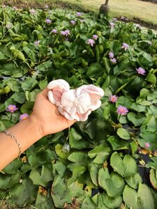 bow Handmade hair clip 😍