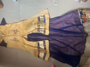 Elegant Lehenga Choli Set
