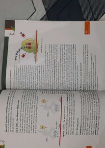 Biology Textbook for Class XI