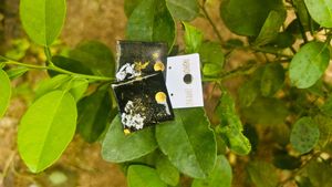 Black And Blue Set Of 2 Resin Earrings New