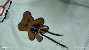 bear t shirt