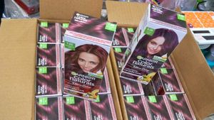 Garnier Color Naturals Hair Colo