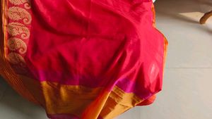 Festive Saree