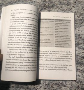 Ikigai Bestseller Book
