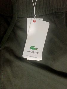 Lacoste Sport Sweatpants green