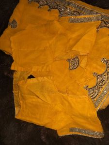 Pure Handwork Saree with Blouse