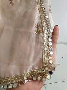 Elegant Peach saree with Golden Embellishments