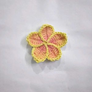 Crocheted Flower HairClips (Any 1)
