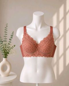 Lace Trimmed Full Coverage Bra