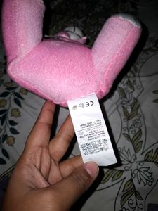 Cute Pink Teddy Bear with Bunny Ears