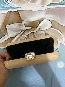 Elegant Beige Clutch Bag