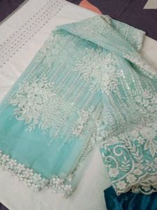 Elegant Embroidered saree.. with padded blowse