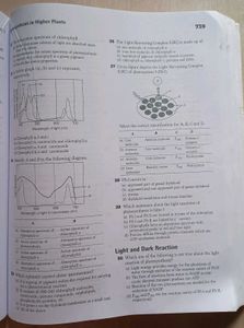 NEET Exploring Biology Vol 1