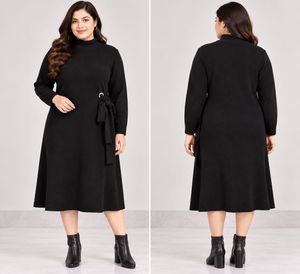Black Turtleneck Long Sleeve Dress