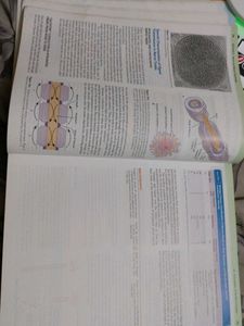 Guyton &amp; Hall Textbook of Medical Physiology