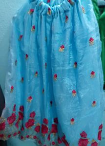 Beautiful Blue Embroidered Skirt