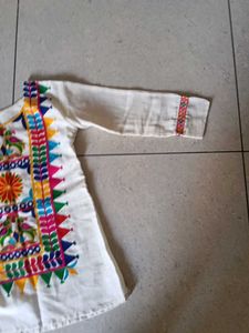 traditional kutch embroidered full sleeve short. n
