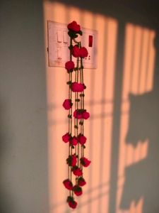 crochet red rose parandi