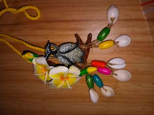Unique Owl &amp; Shell Necklace