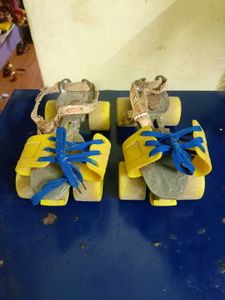 Vintage Roller Skates
