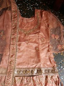 Bridal Peach Embroidered Lehenga Choli