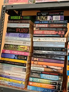Assorted Fiction Books