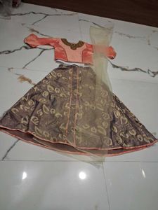 Elegant Girls Ethnic Lehenga Choli Set