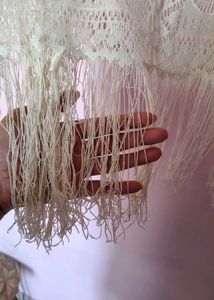 Sheer Lace Fringe Top
