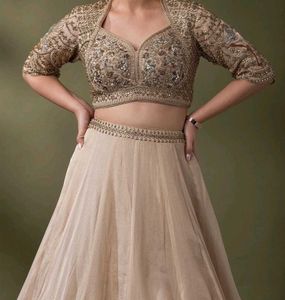 Champagne Gold Embroidered Lehenga Set