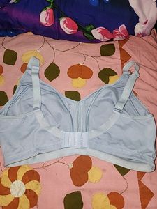 38DD Bra