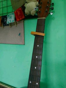 Fiera Customized Acoustic Guitar