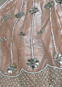 Embellished Peach Lehenga