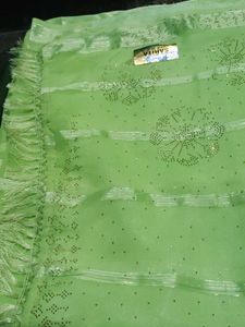 Elegant Green Embellished Saree